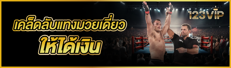 เคล็ดลับแทงมวยเดี่ยวให้ได้เงิน